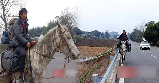 Chàng trai 29 tuổi đi ngựa vượt 4400km về quê ăn Tết: ‘Sợ bố mẹ lo nên không dám nói’