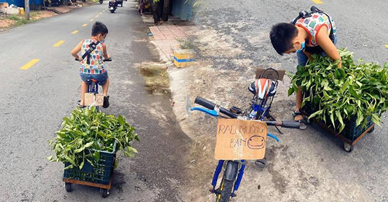 Không có điện thoại học online, cậu bé nghỉ học đẩy xe bán rau, nhặt ve chai phụ mẹ: Câu chuyện phía sau khiến nhiều người sụt sùi